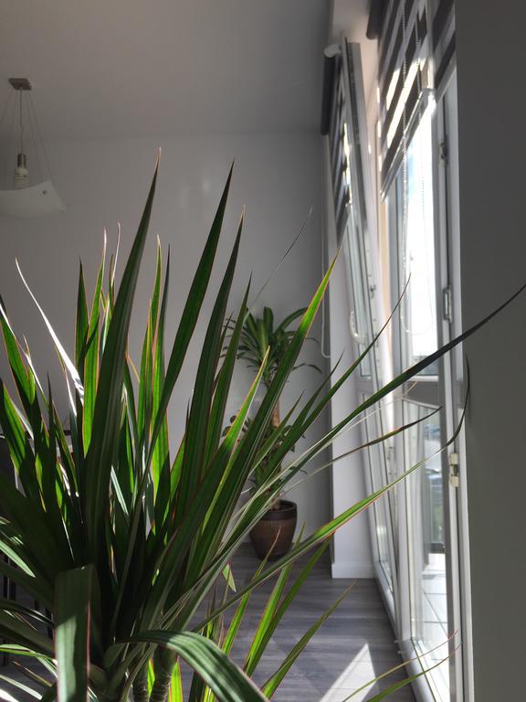 Cztery Pory Roku Apartment Tychy Exterior foto